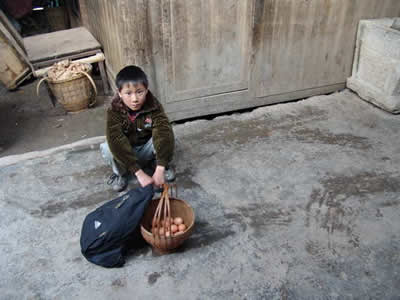 http://www.fjsenfa.cn/pics/default/download/56ffb2a75b5129b240f812c77f10d68c.jpg