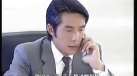 再續(xù)意難忘95集上