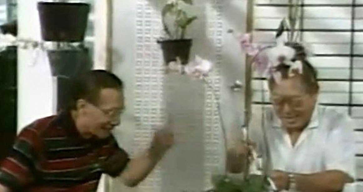 http://www.fjsenfa.cn/pics/default/download/586bfe519f3601319e25b0d6b31c7840.jpg