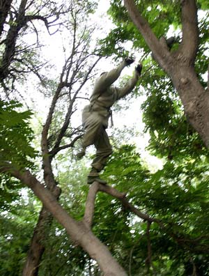 http://www.fjsenfa.cn/pics/default/download/586f/65f1a183691680a96908a9f2a347.jpg