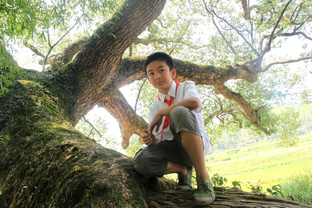 http://www.fjsenfa.cn/pics/default/download/58a56d0193def0db6ee54fbf184763a1.jpg