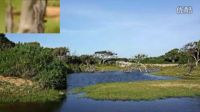 風景 佛教 國度