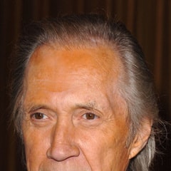 大衛·卡拉丁David Carradine