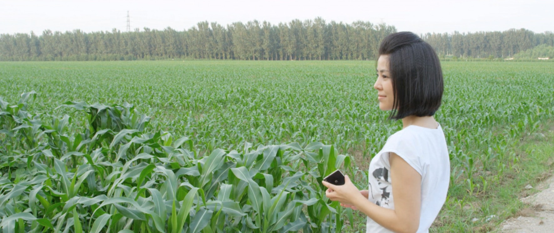 http://www.fjsenfa.cn/pics/default/download/591e3c96f9f031815fdb76d61c6de33d.jpg