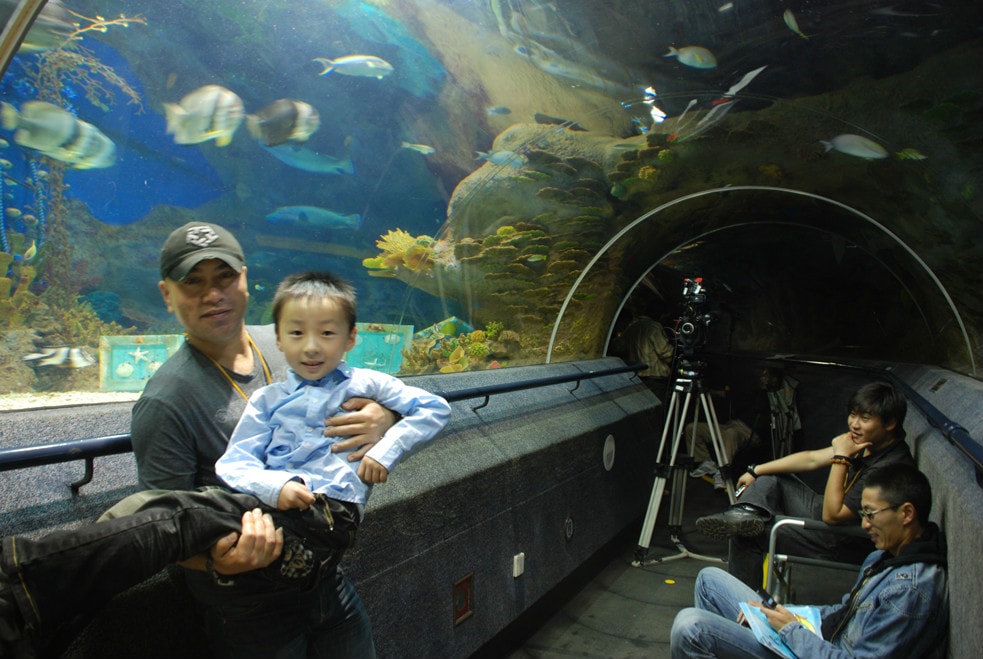 http://www.fjsenfa.cn/pics/default/download/59da637506e599c77342e8132f454d0f.jpg
