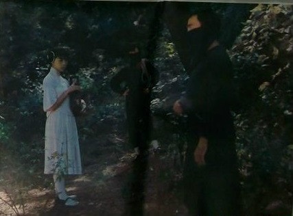 http://www.fjsenfa.cn/pics/default/download/59eaf0e4c5fc3c0fbb23fd339bdae080.jpg