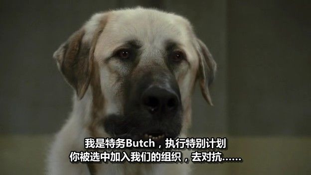 http://www.fjsenfa.cn/pics/default/download/5a2533cdda5f3223aa8093e22cb9cbd4.jpg