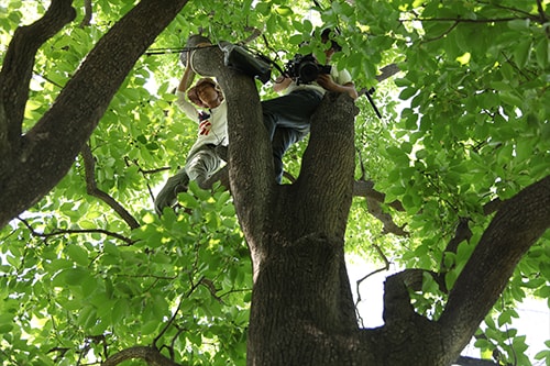 http://www.fjsenfa.cn/pics/default/download/5aab7f66607b491acb7f375218048a6b.jpg