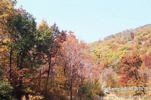 http://www.fjsenfa.cn/pics/default/download/5ab631e4f3e5d5798a77abcdffd31a8d.jpg
