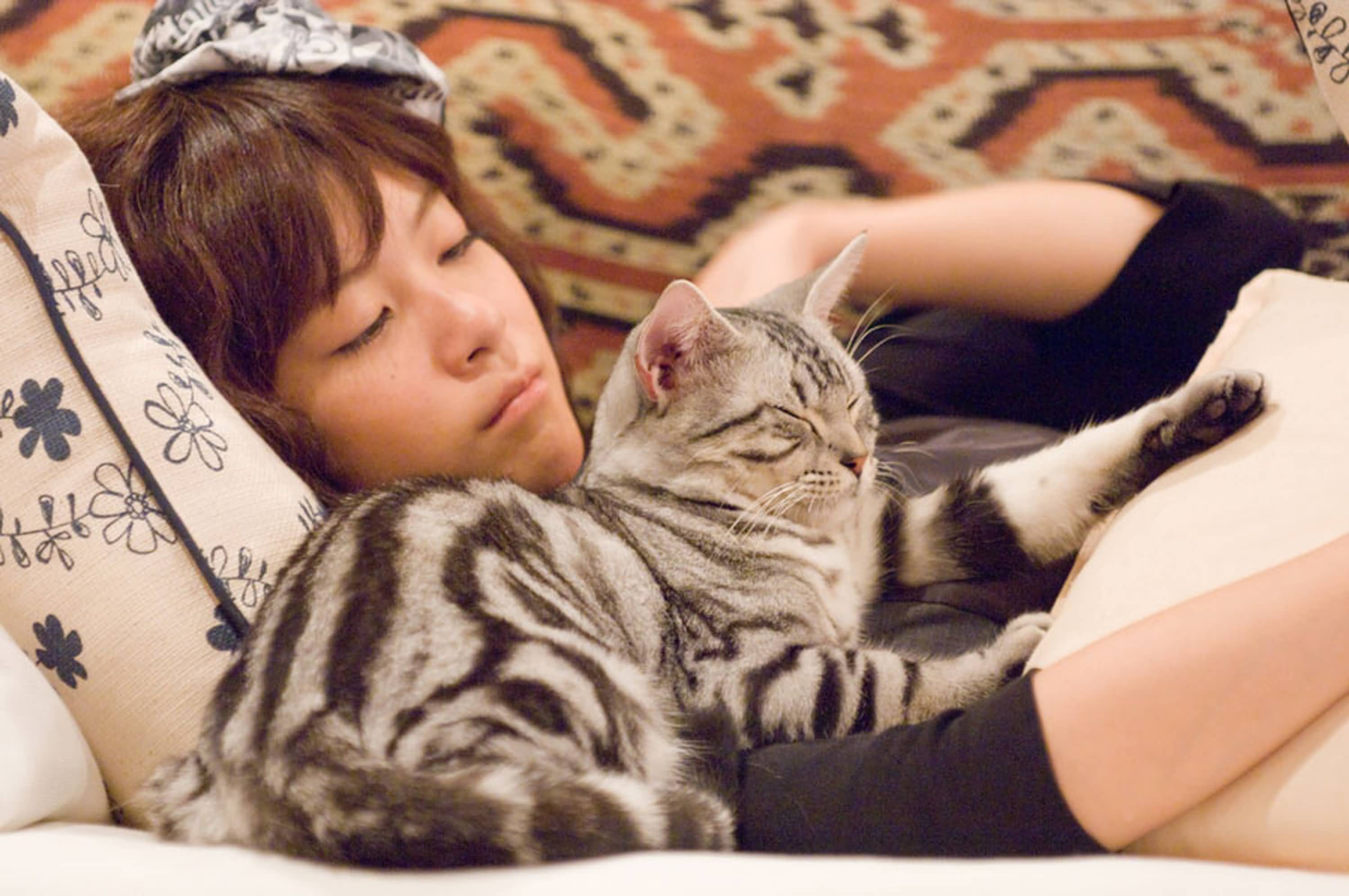 http://www.fjsenfa.cn/pics/default/download/5ac1db44a7455f88a5a6a0adabf8d2dd.jpg