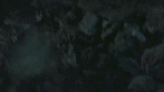 預(yù)告片3