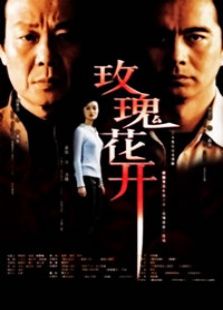 玫瑰花開