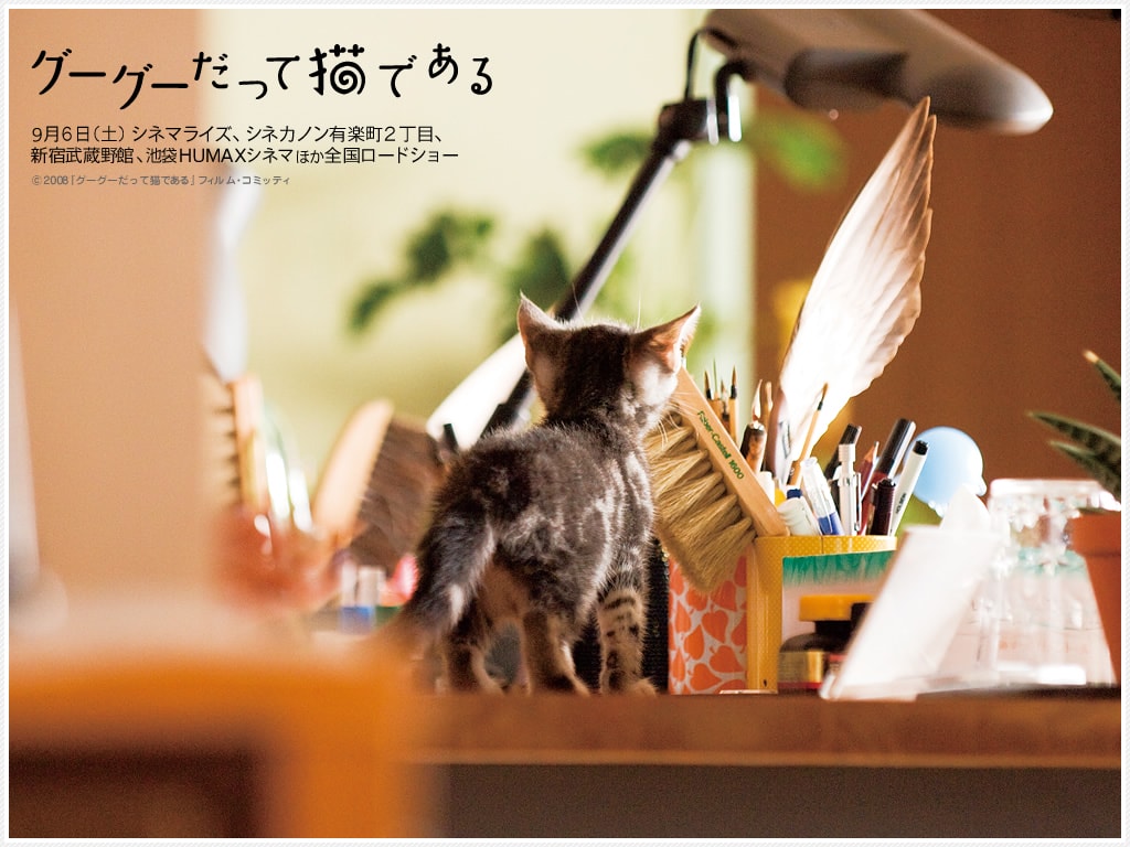 http://www.fjsenfa.cn/pics/default/download/5c6063706e9ae440ffd307422b076111.jpg