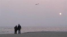 預(yù)告片