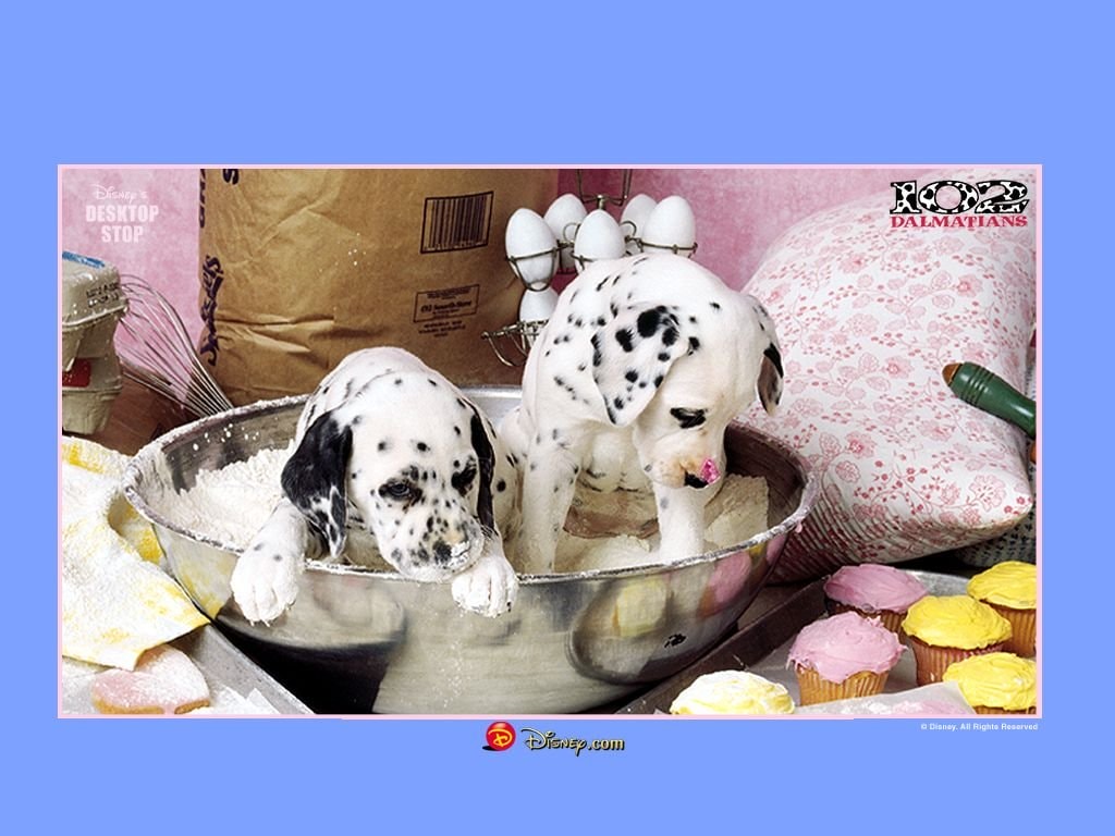 http://www.fjsenfa.cn/pics/default/download/5d30bfa4a5536ae826bcf7aafcbb392f.jpg