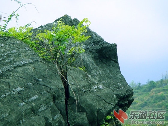 http://www.fjsenfa.cn/pics/default/download/5e32de88ef353a5001f1379cb8124031.jpg