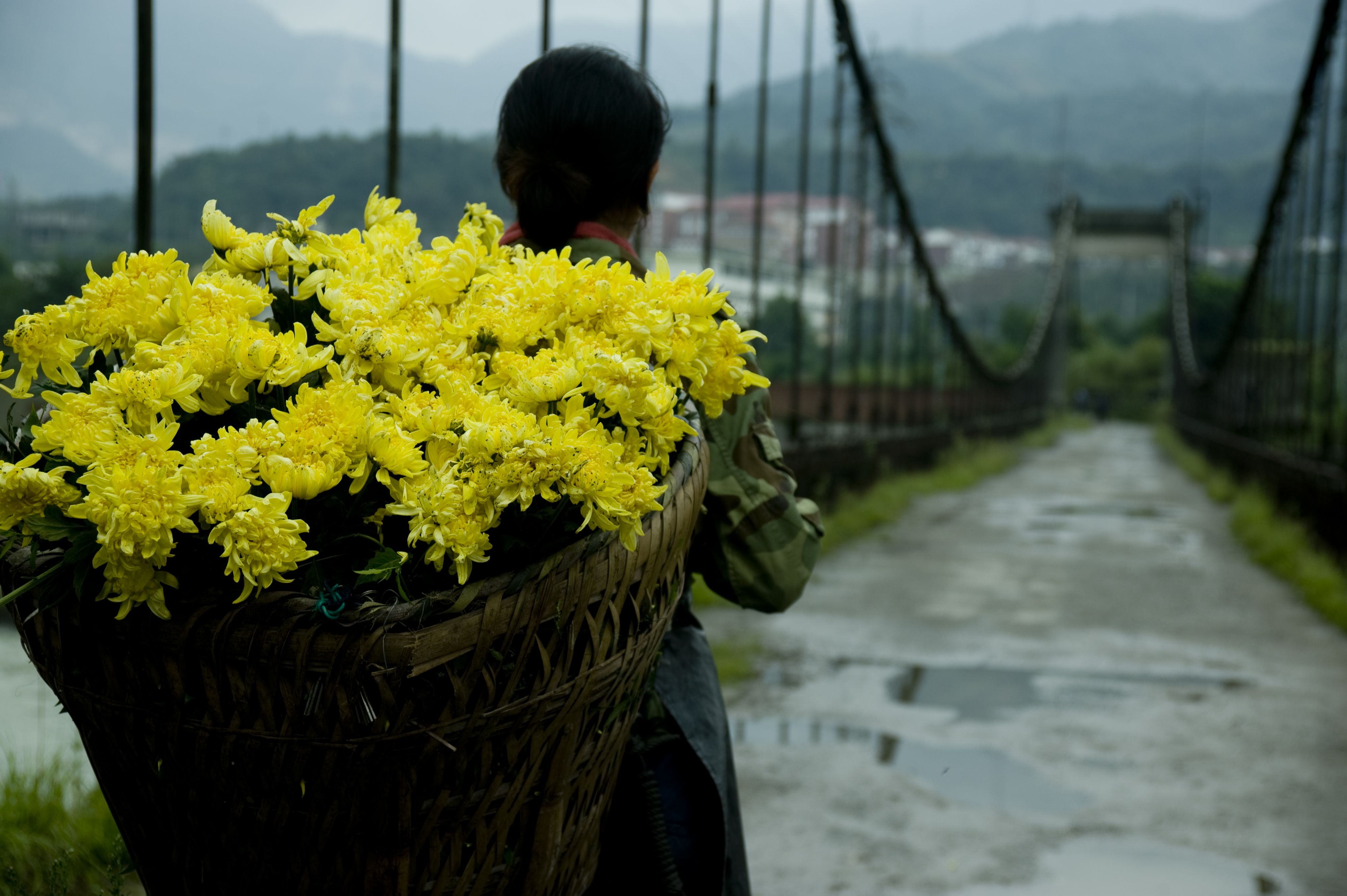 http://www.fjsenfa.cn/pics/default/download/5e4b06caa585fbb564a9edce24c2a2e7.jpg