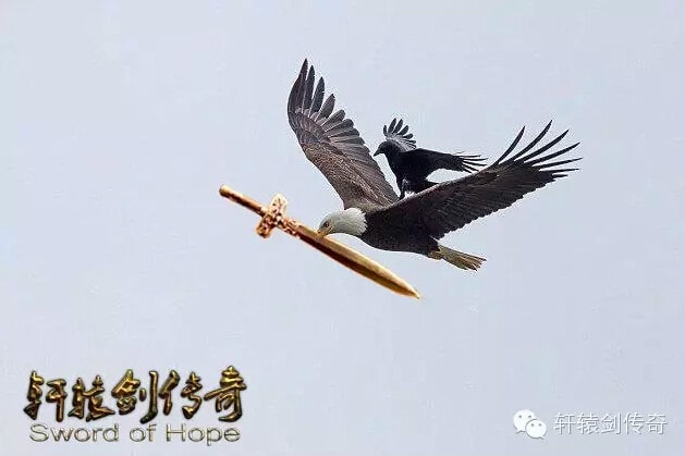 http://www.fjsenfa.cn/pics/default/download/5e664c1fd297097365f4c745daedec30.jpg