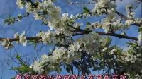 山楂樹之戀MV-中文版薛長祿上傳2016-11-30_標清