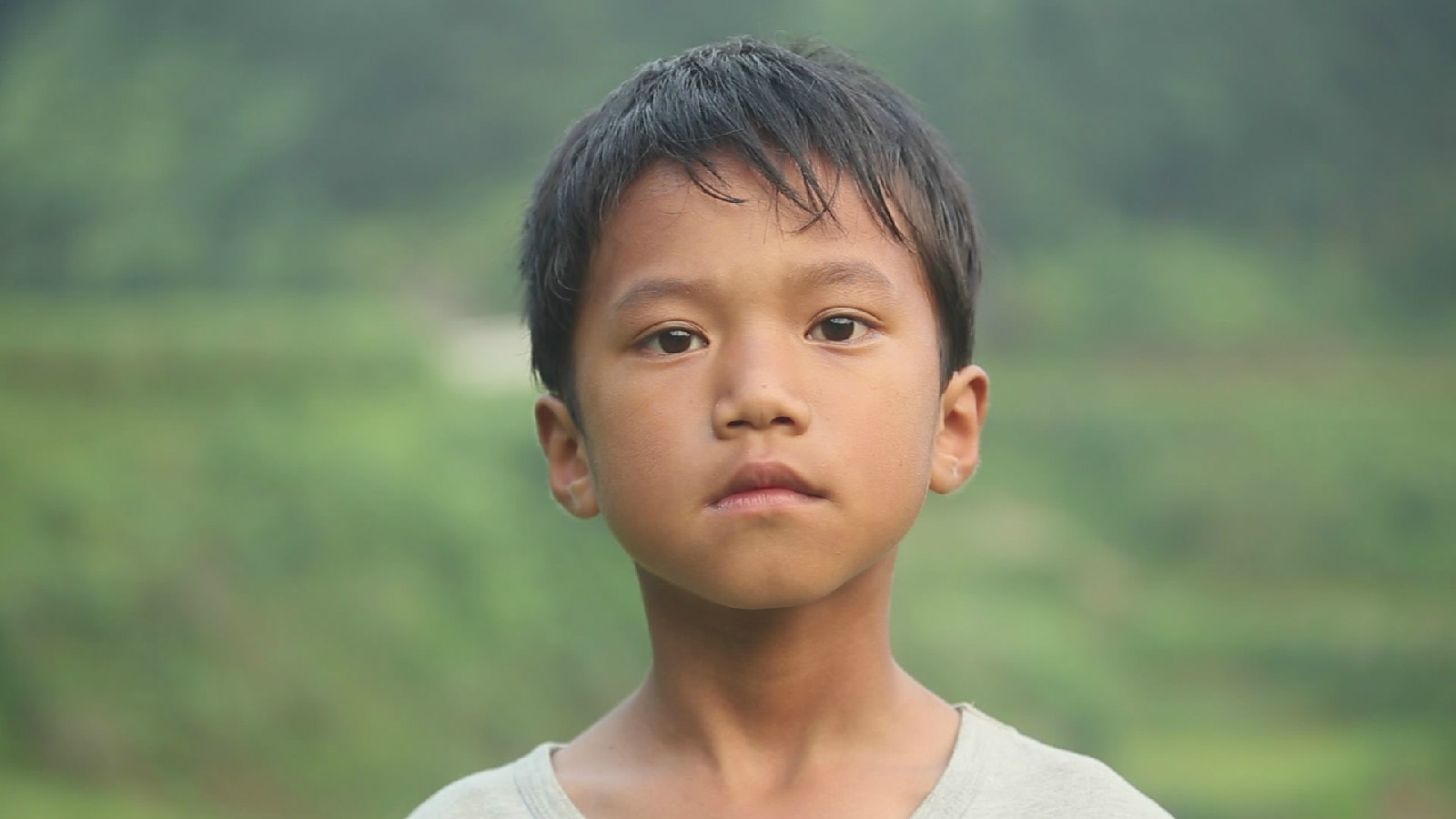 http://www.fjsenfa.cn/pics/default/download/5efafa0bab36323476fc810da4921b91.jpg