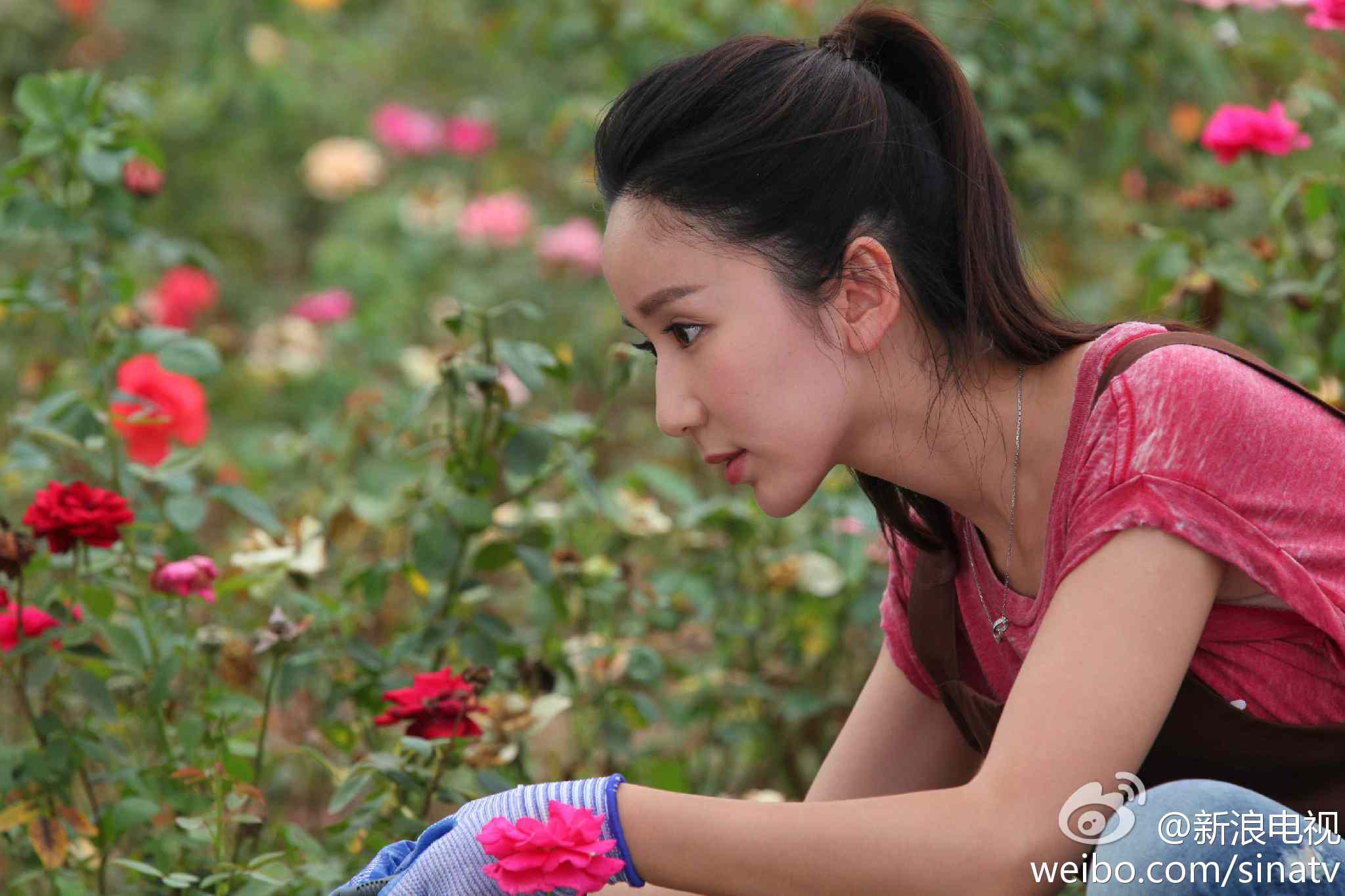 http://www.fjsenfa.cn/pics/default/download/5f50505edee88b8850dfe584f6a8befd.jpg
