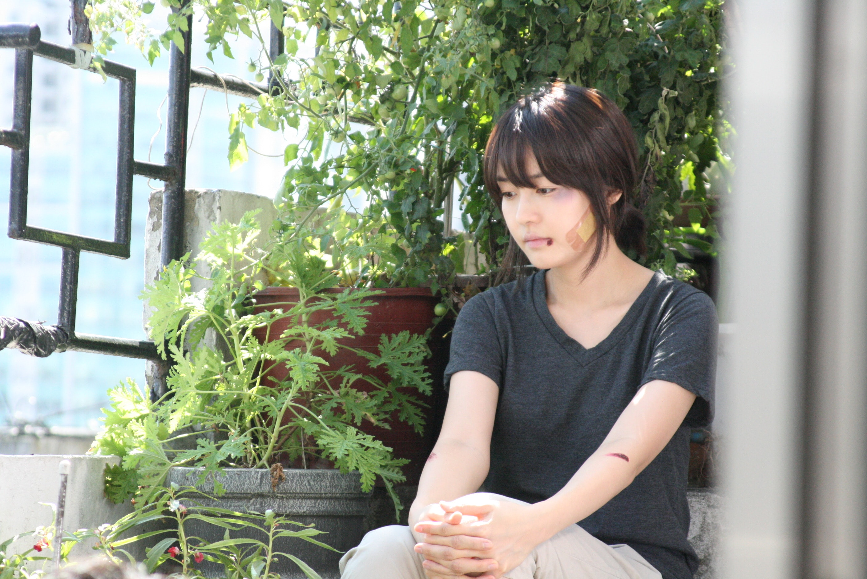 http://www.fjsenfa.cn/pics/default/download/600d8b40d1abf74c188fb17564f8decf.jpg