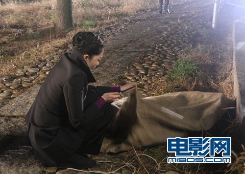 http://www.fjsenfa.cn/pics/default/download/6262003a32574a84408672b4dcaffc18.jpg