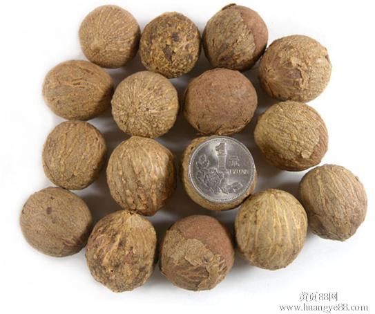 http://www.fjsenfa.cn/pics/default/download/627e959823407cdf8921a5bde1d785fd.jpg