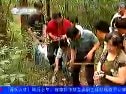 兩年時間為紫金山植物“查戶口”