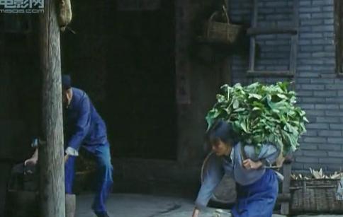 http://www.fjsenfa.cn/pics/default/download/63530f7ca5f06428e3b7582717488315.jpg