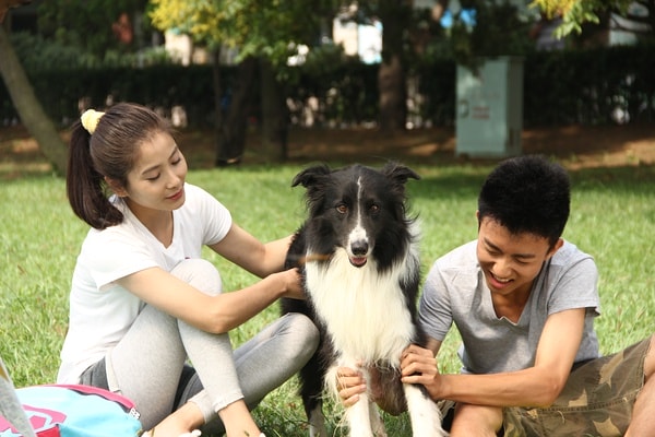 http://www.fjsenfa.cn/pics/default/download/63aa136c02914c83bd993ddb23bf6d69.jpg