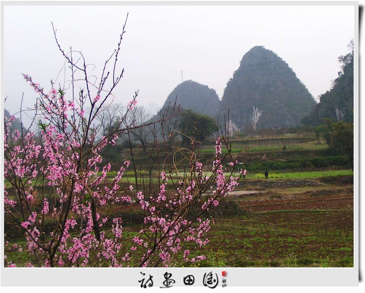 http://www.fjsenfa.cn/pics/default/download/651a99aa891b040c0d680e2caebe4c39.jpg