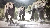 特暴龍家族狩獵副櫛龍