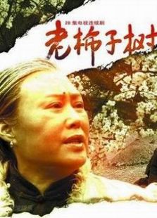 老柿子樹