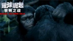 中文制作特輯之RealD 3D