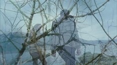 先行版預告片2