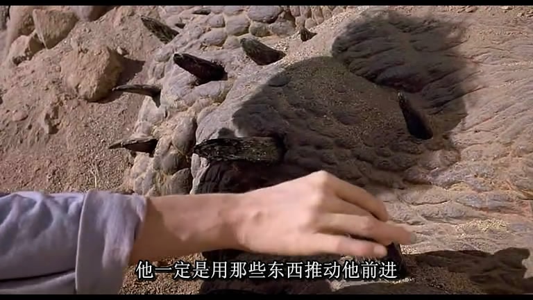 http://www.fjsenfa.cn/pics/default/download/67d52445dc37fb179b4a7ae77ee19fbf.jpg