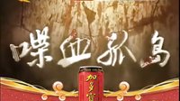《喋血孤島》1月16日河北衛(wèi)視全國首播