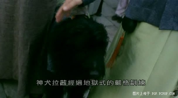 http://www.fjsenfa.cn/pics/default/download/68b4d93f89a27ee1761afa1000fba0ba.jpg
