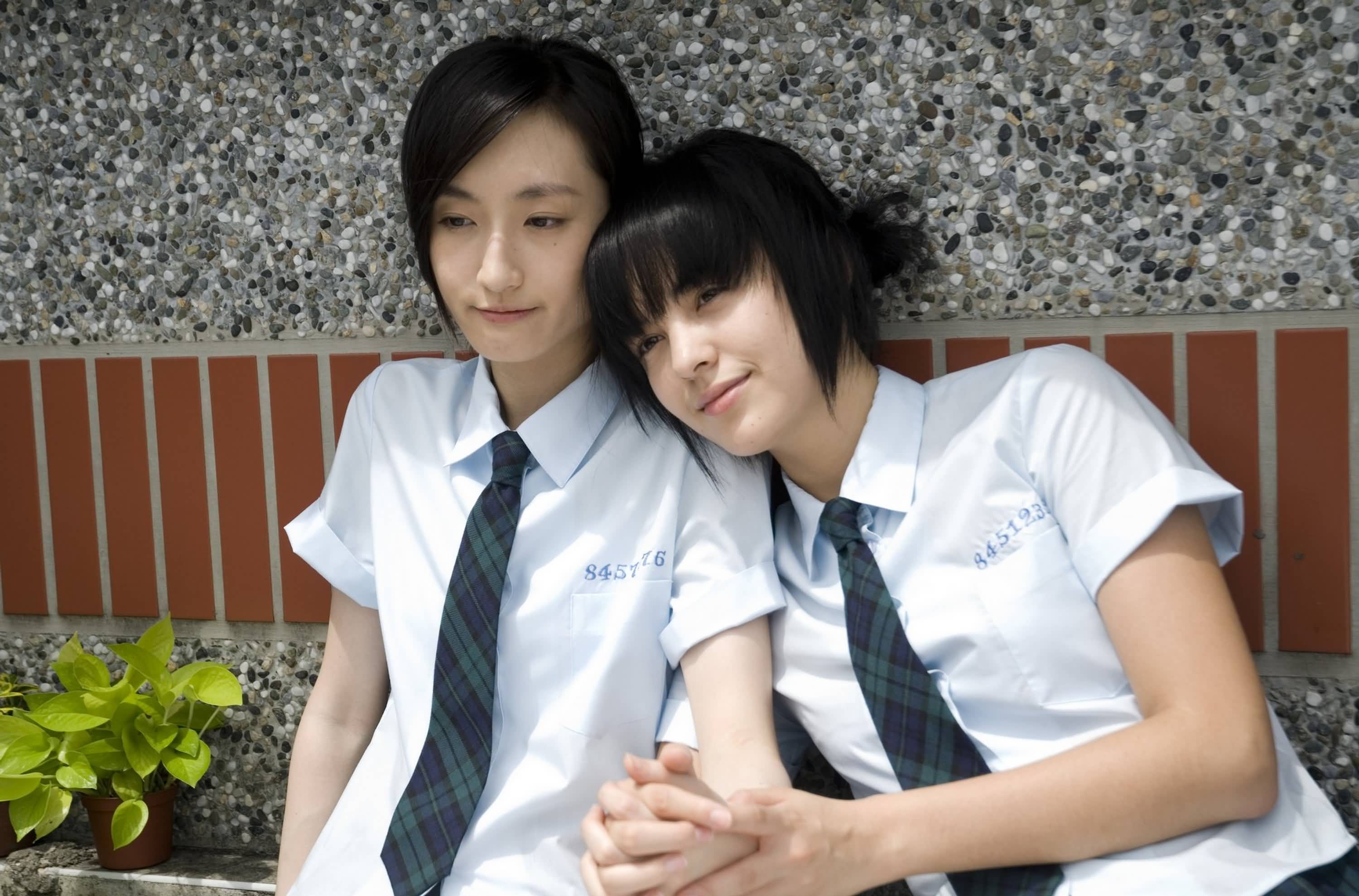 http://www.fjsenfa.cn/pics/default/download/68e799643c1ba43d82cde5ed64c5d0ed.jpg