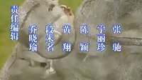 好春光（福星高照豬八戒）