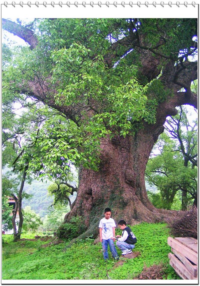 http://www.fjsenfa.cn/pics/default/download/6a36a7c0b217607a2b18e3b6e1ec8865.jpg