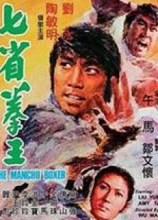 七省拳王 國語