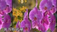 純音樂 - 夜來香2 - 笛子