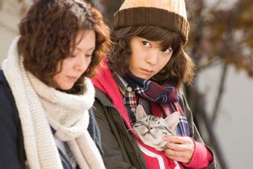 http://www.fjsenfa.cn/pics/default/download/6b0ede59728084d0481904cda24f27d0.jpg