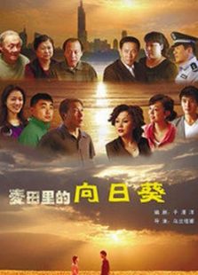 葵花進(jìn)城