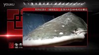 系列紀(jì)錄片《捕魚戰(zhàn)士》在澳大利亞SBS電視臺(tái)播出