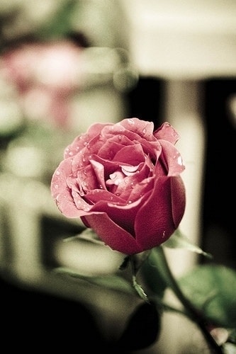 http://www.fjsenfa.cn/pics/default/download/6c850410cc2167db0fa4636110c7b06c.jpg