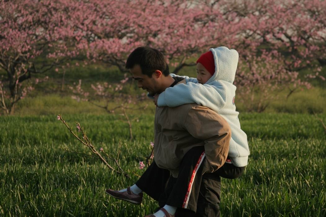 http://www.fjsenfa.cn/pics/default/download/6ce9a8a0afd67a431eb0985cf5ee06cc.jpg
