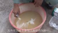豐強生泰在養豬場的使用方法參考